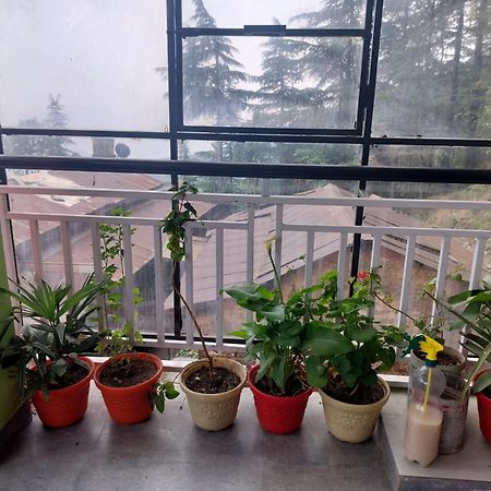 Tree Valley Homestay Chail Exterior foto