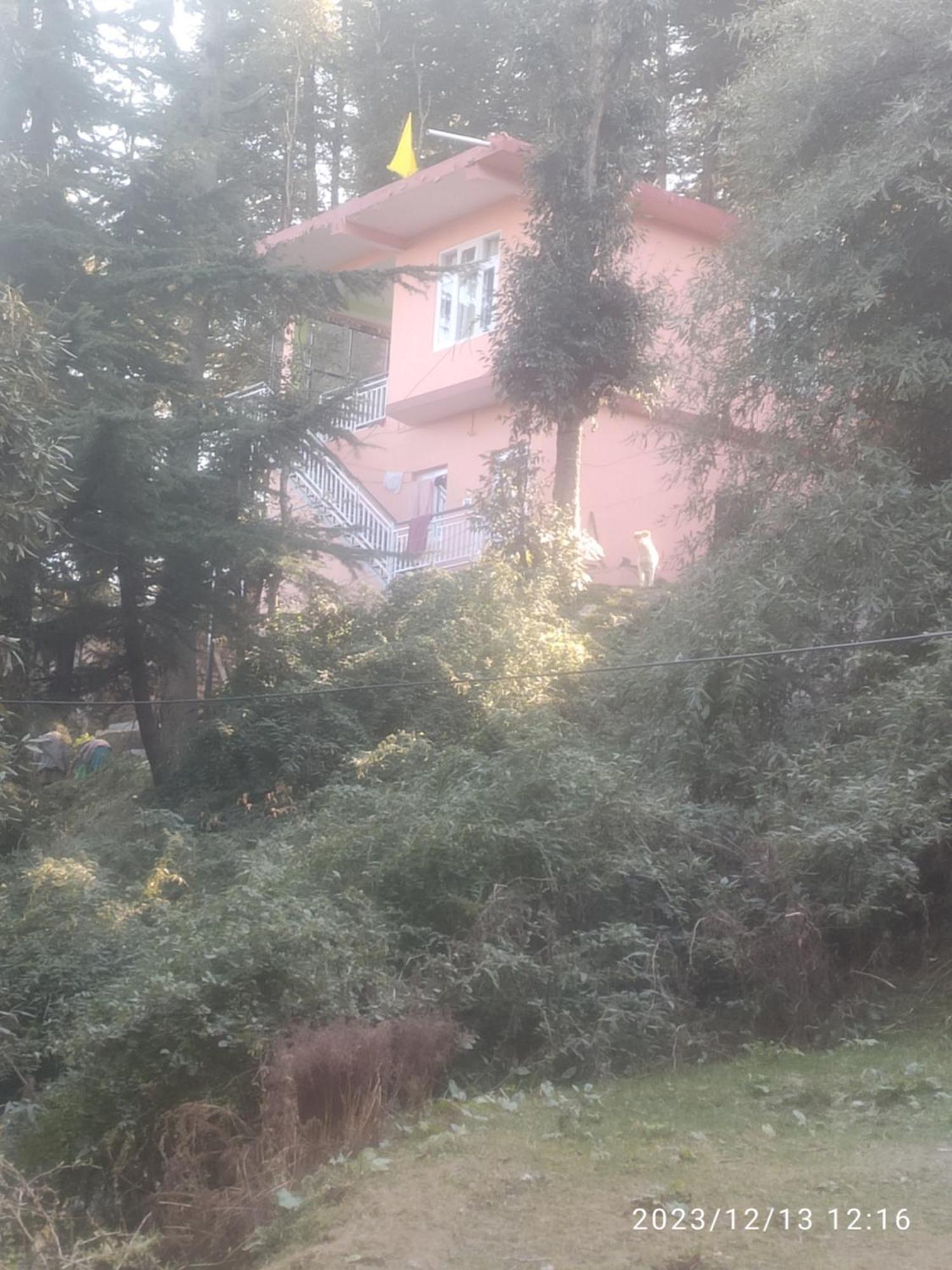 Tree Valley Homestay Chail Exterior foto