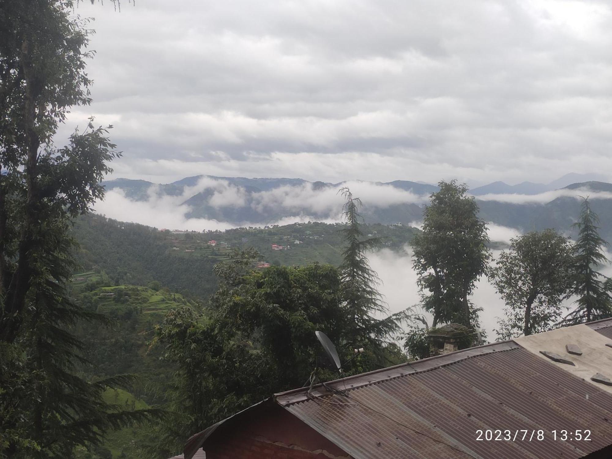 Tree Valley Homestay Chail Exterior foto