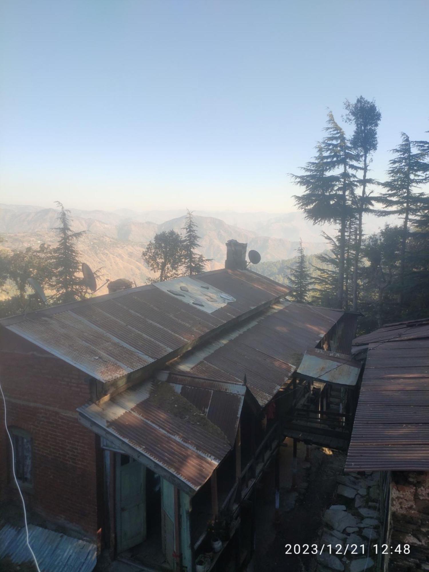 Tree Valley Homestay Chail Exterior foto