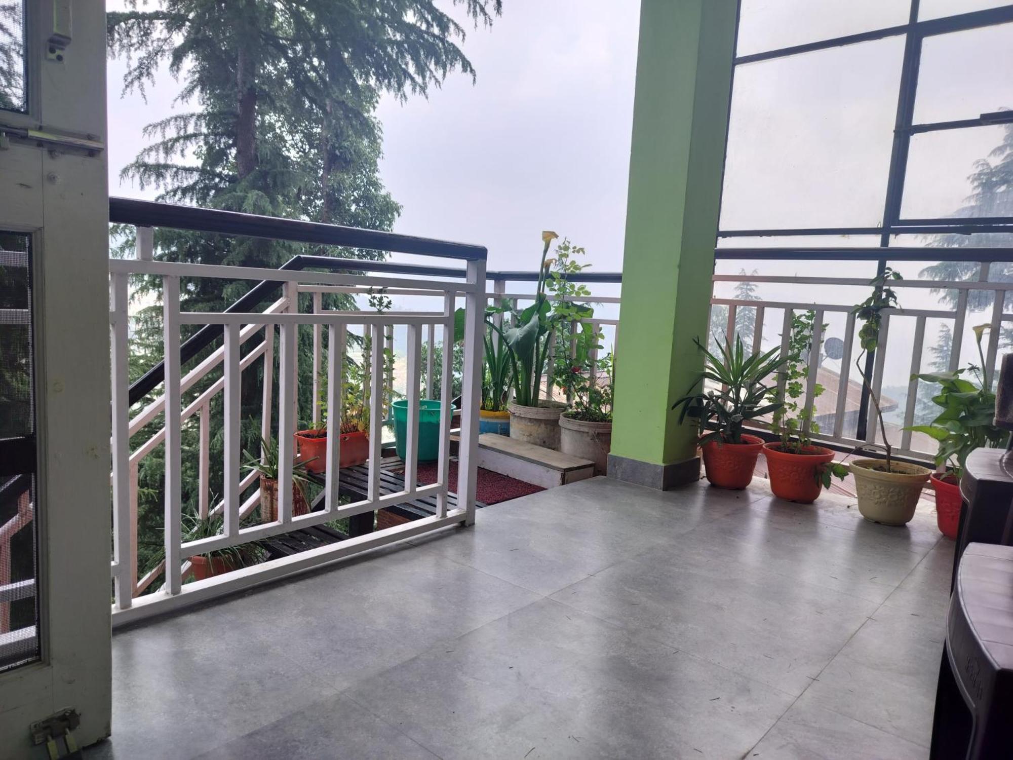 Tree Valley Homestay Chail Exterior foto