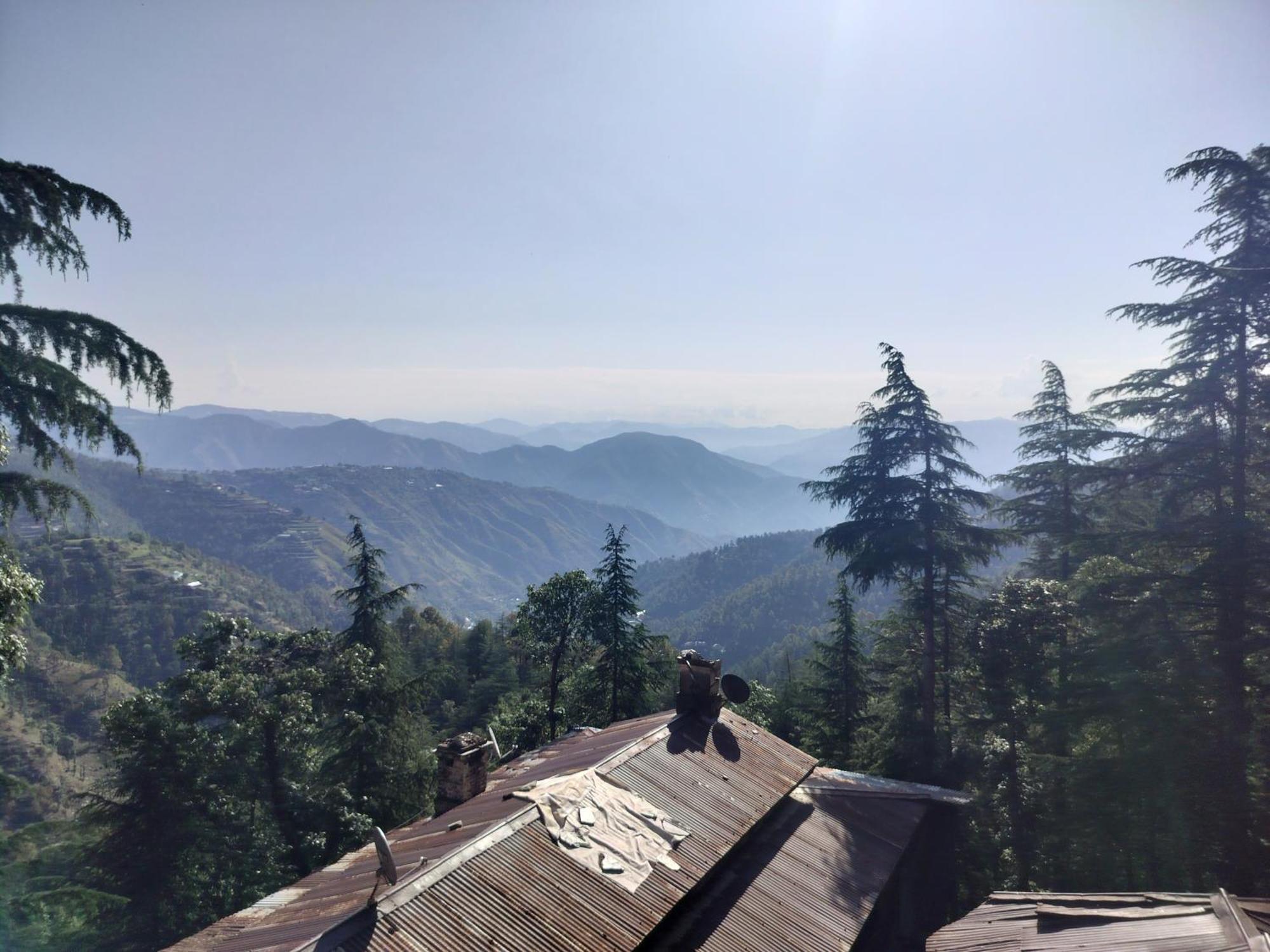 Tree Valley Homestay Chail Exterior foto
