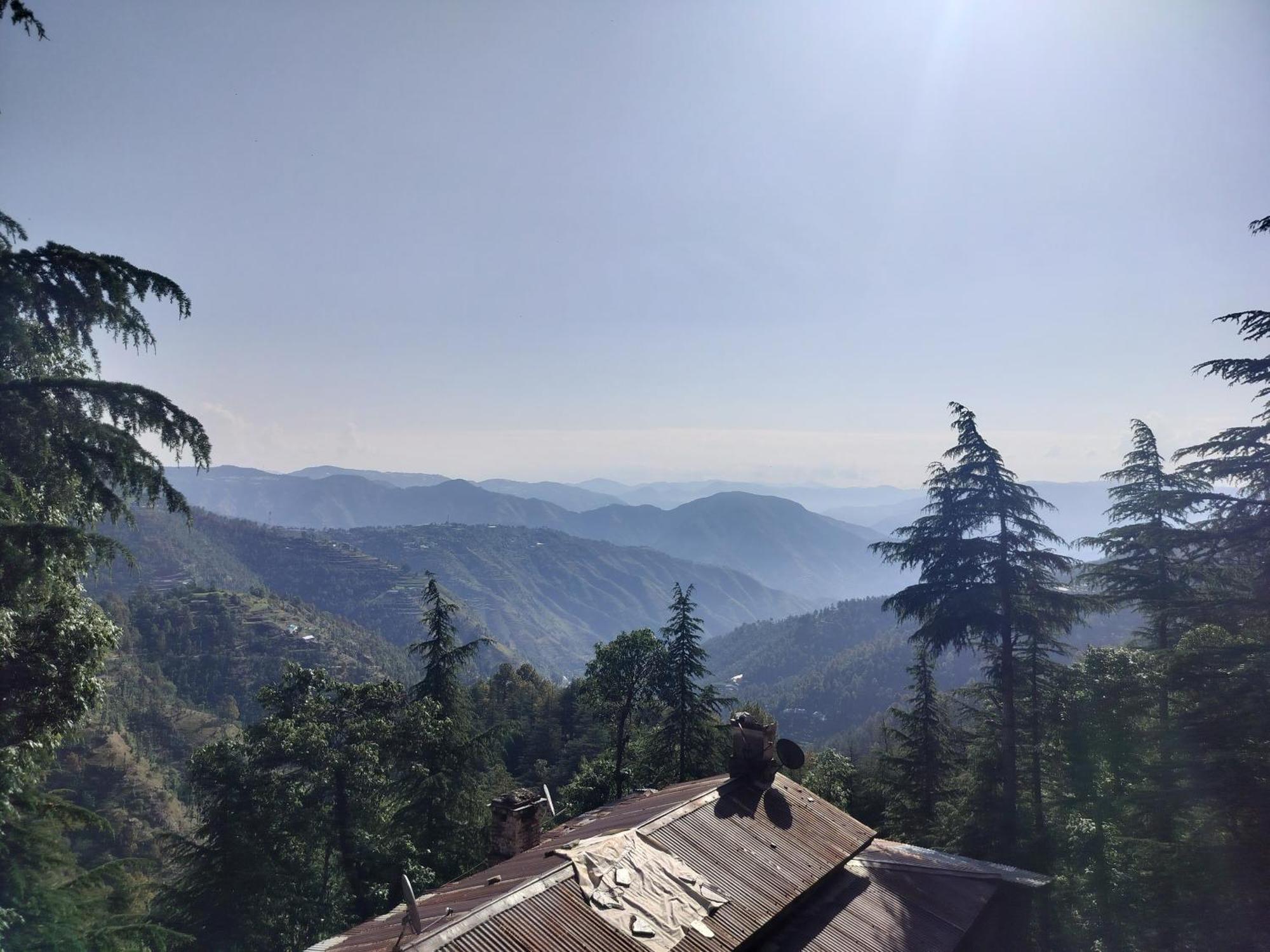 Tree Valley Homestay Chail Exterior foto